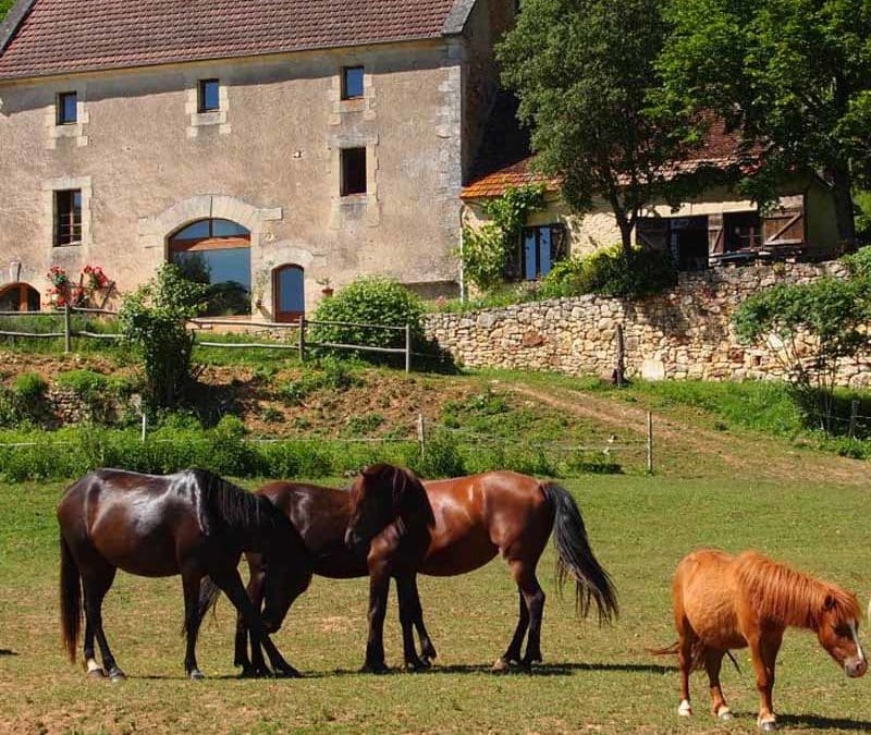 La ferme des Eymaries