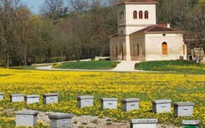 Les Abeilles du Périgord