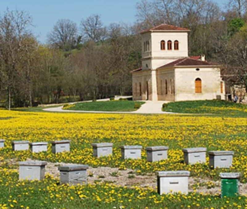 Les Abeilles du Périgord