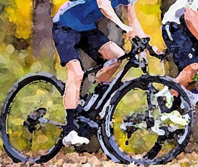 La Roque Bike