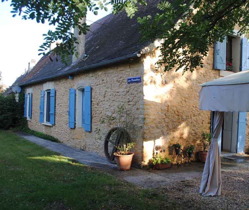 Les chouettes