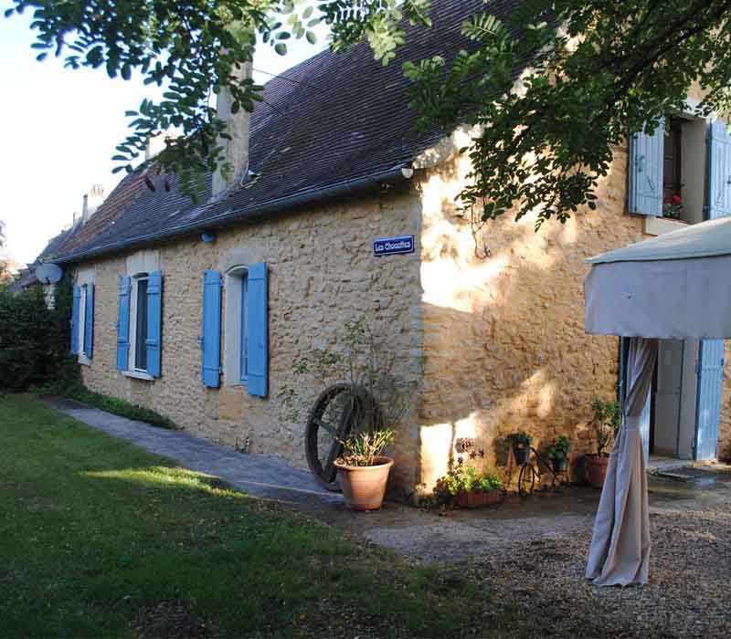 Les chouettes